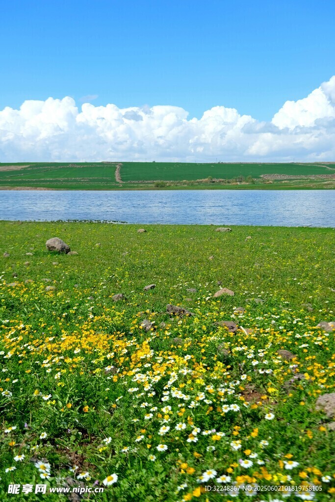 湖畔花海美景