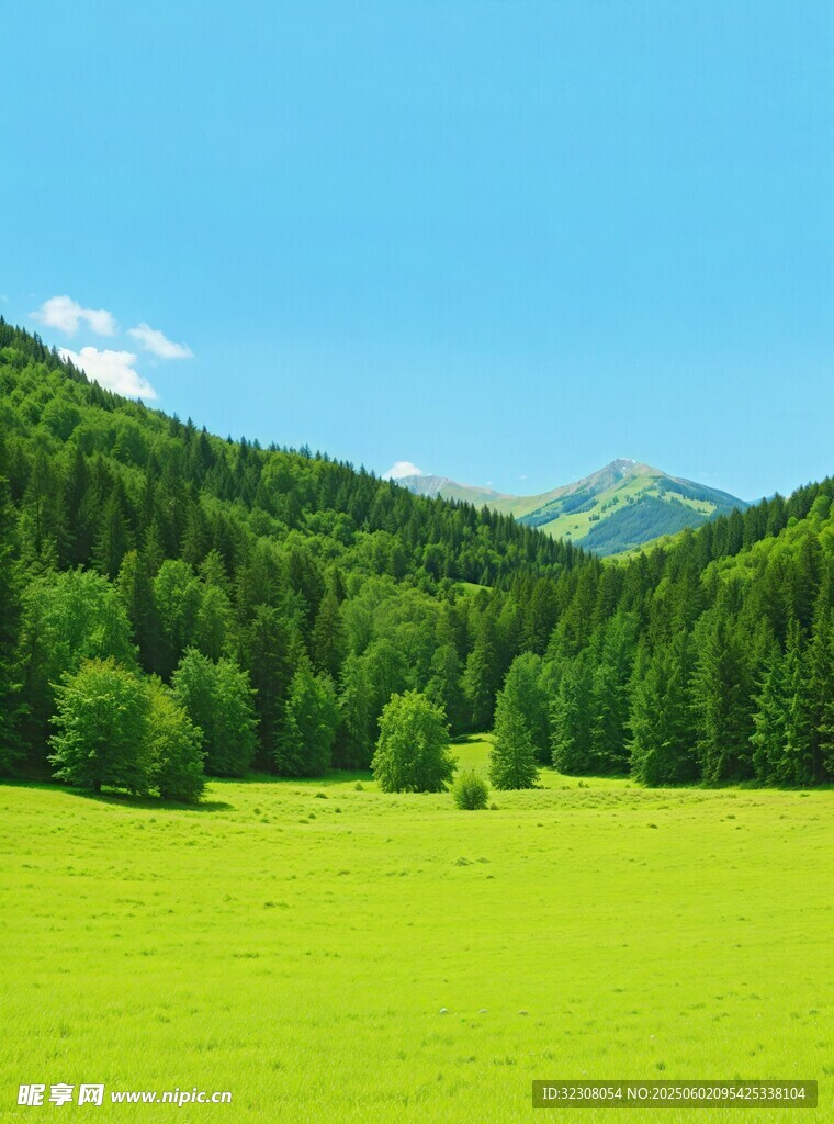 翠绿山林间的广袤绿草地