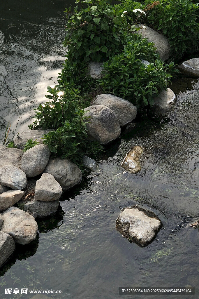 溪边石景与绿植