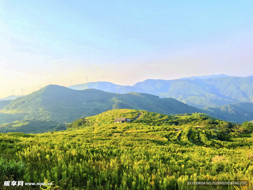 山间绿野美景