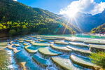 梦幻蓝白梯田与山间美景