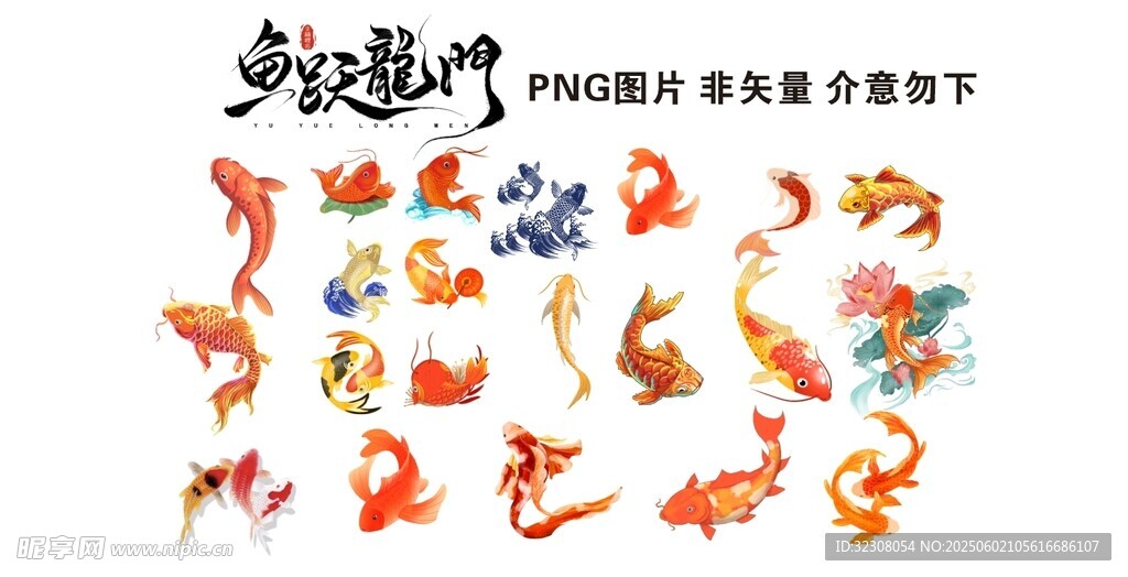 锦鲤图标  