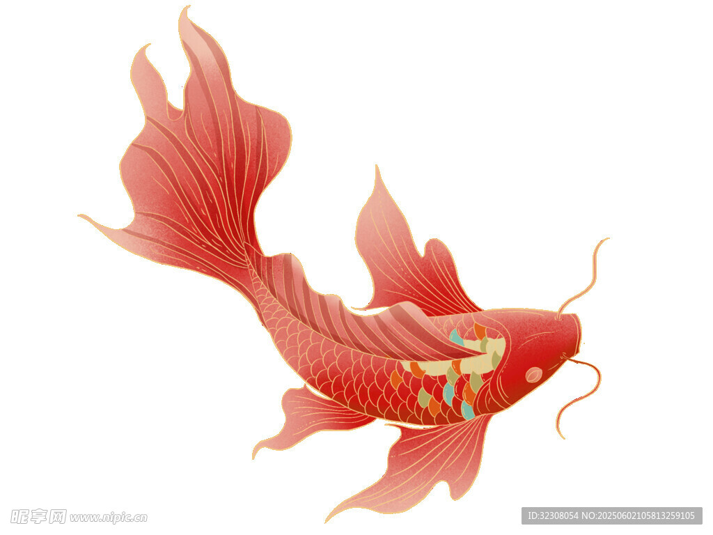 红色金鱼插画