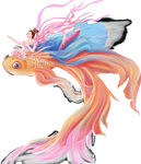 梦幻飘逸的彩色金鱼插画