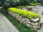 石砌矮墙绿植景观