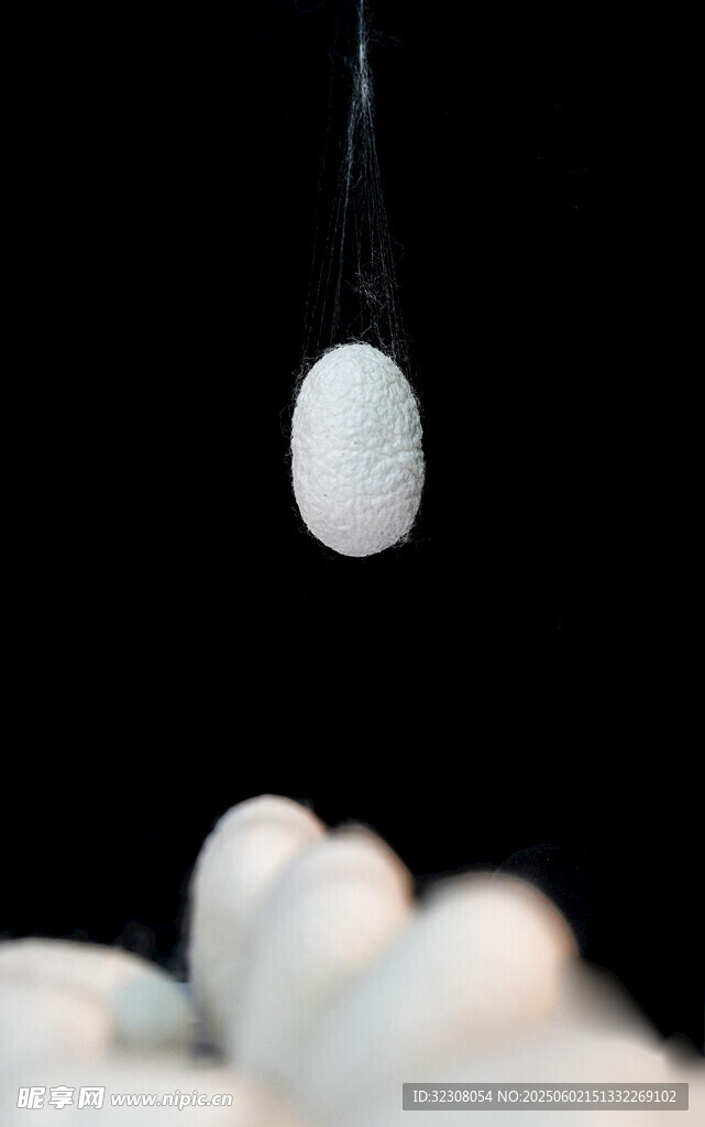 悬于半空的白色蚕茧