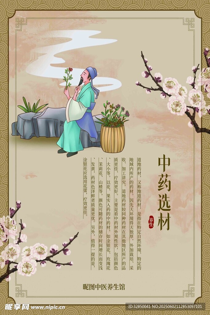 古风中药药材插画展示