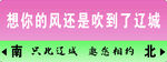 指向牌