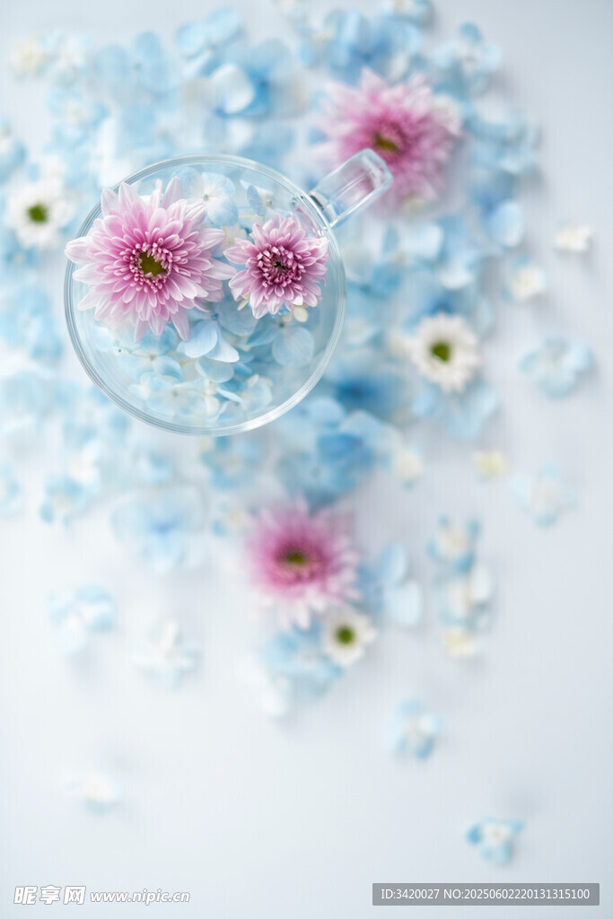 杯中花