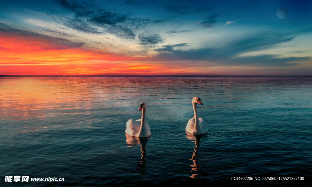夕阳下海边漫步的两人