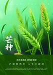 清新芒种