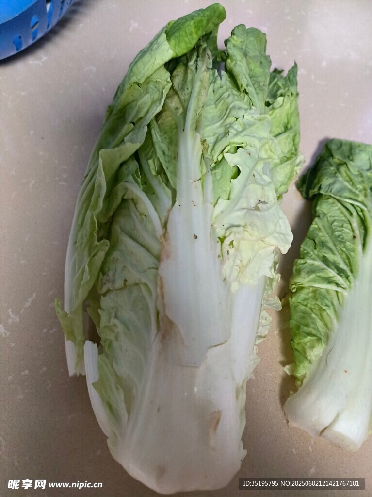 新鲜切开的大白菜