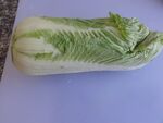 一颗新鲜的大白菜