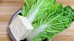 白菜豆腐