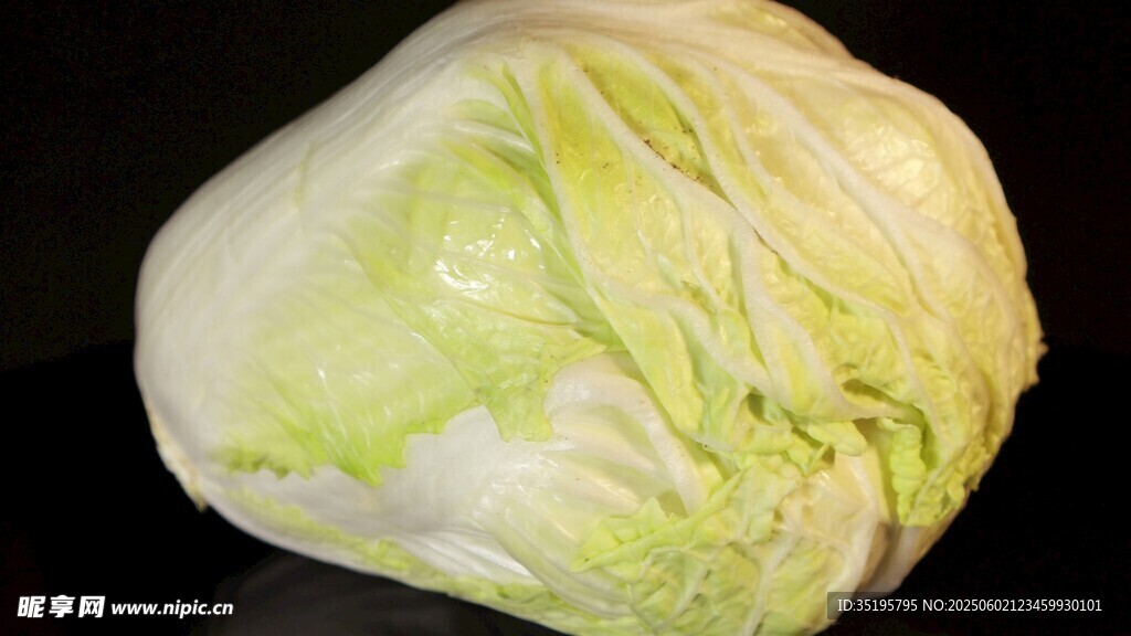 新鲜大白菜