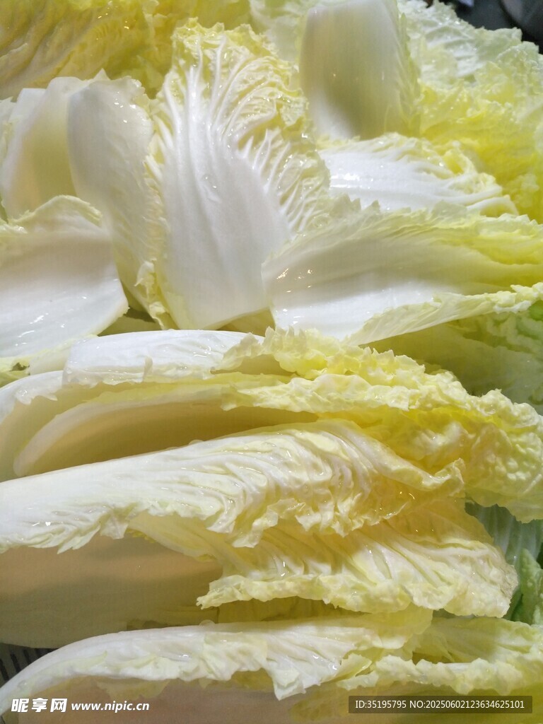 新鲜大白菜堆叠
