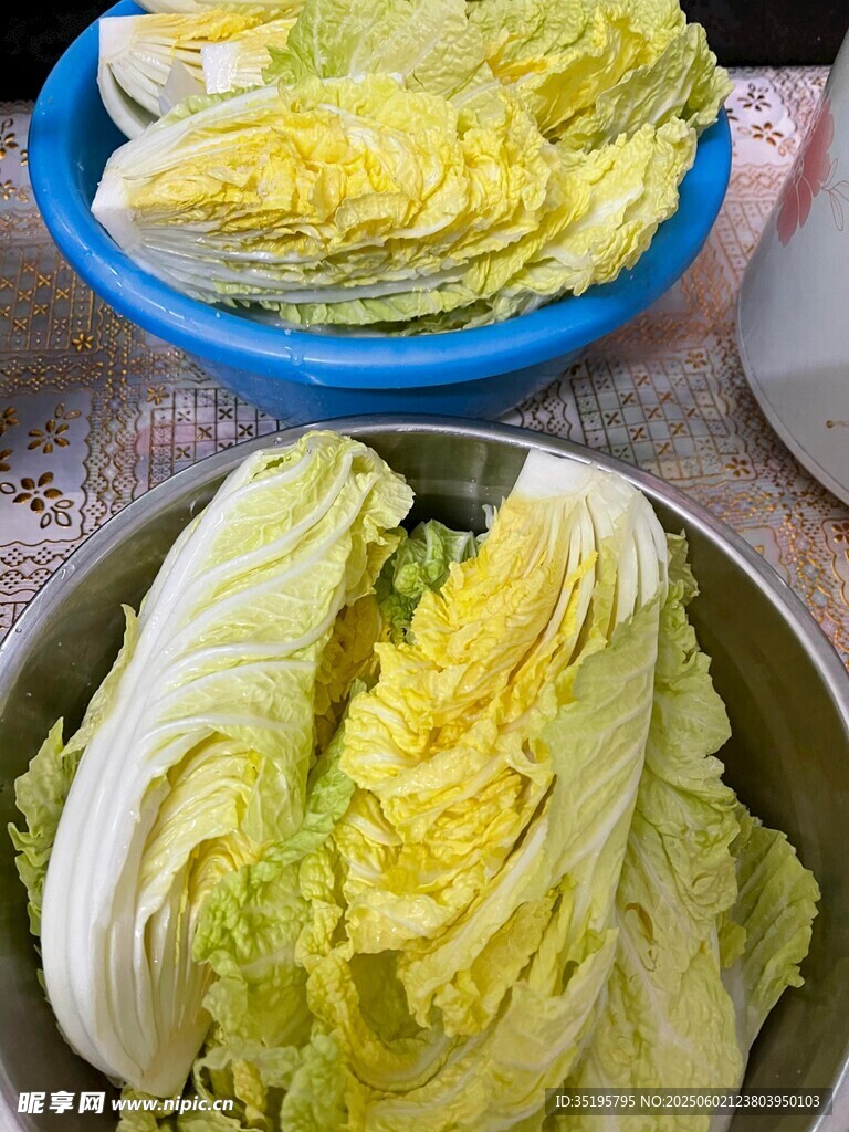 新鲜大白菜待处理