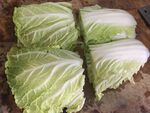 新鲜大白菜展示