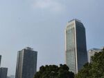 城市高楼与绿树景观