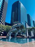 城市中的海豚喷泉雕塑