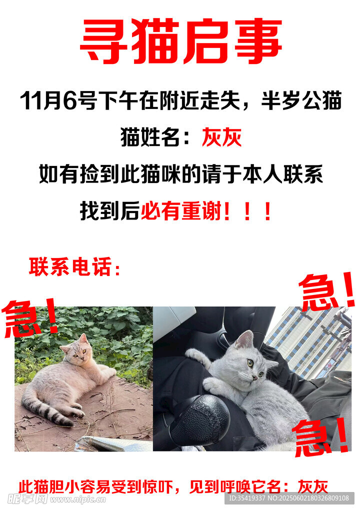 猫咪寻主启事