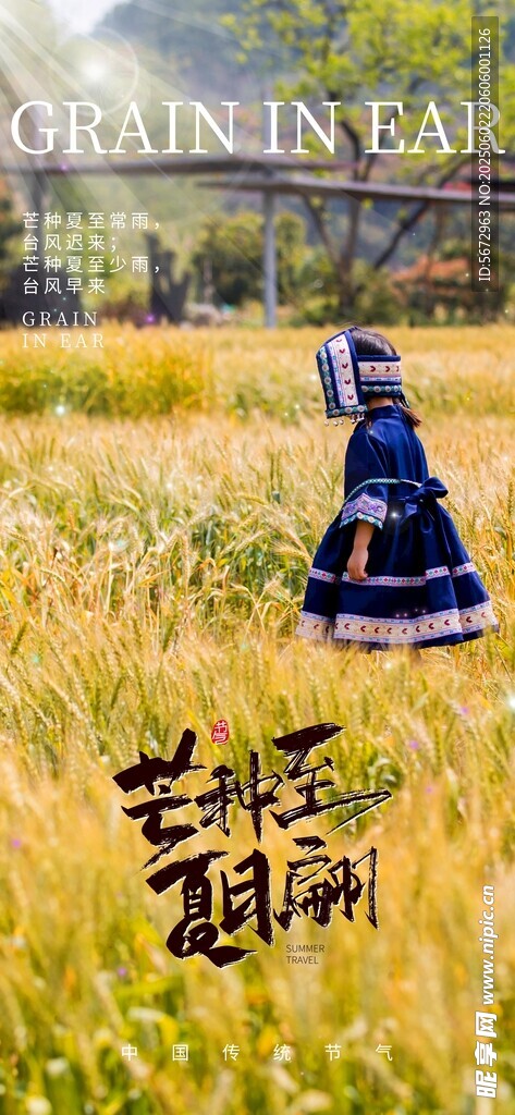 芒种