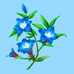 蓝色花朵插画