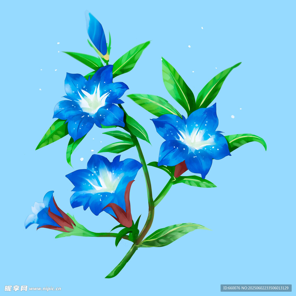 蓝色花朵插画