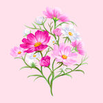 粉色花卉插画