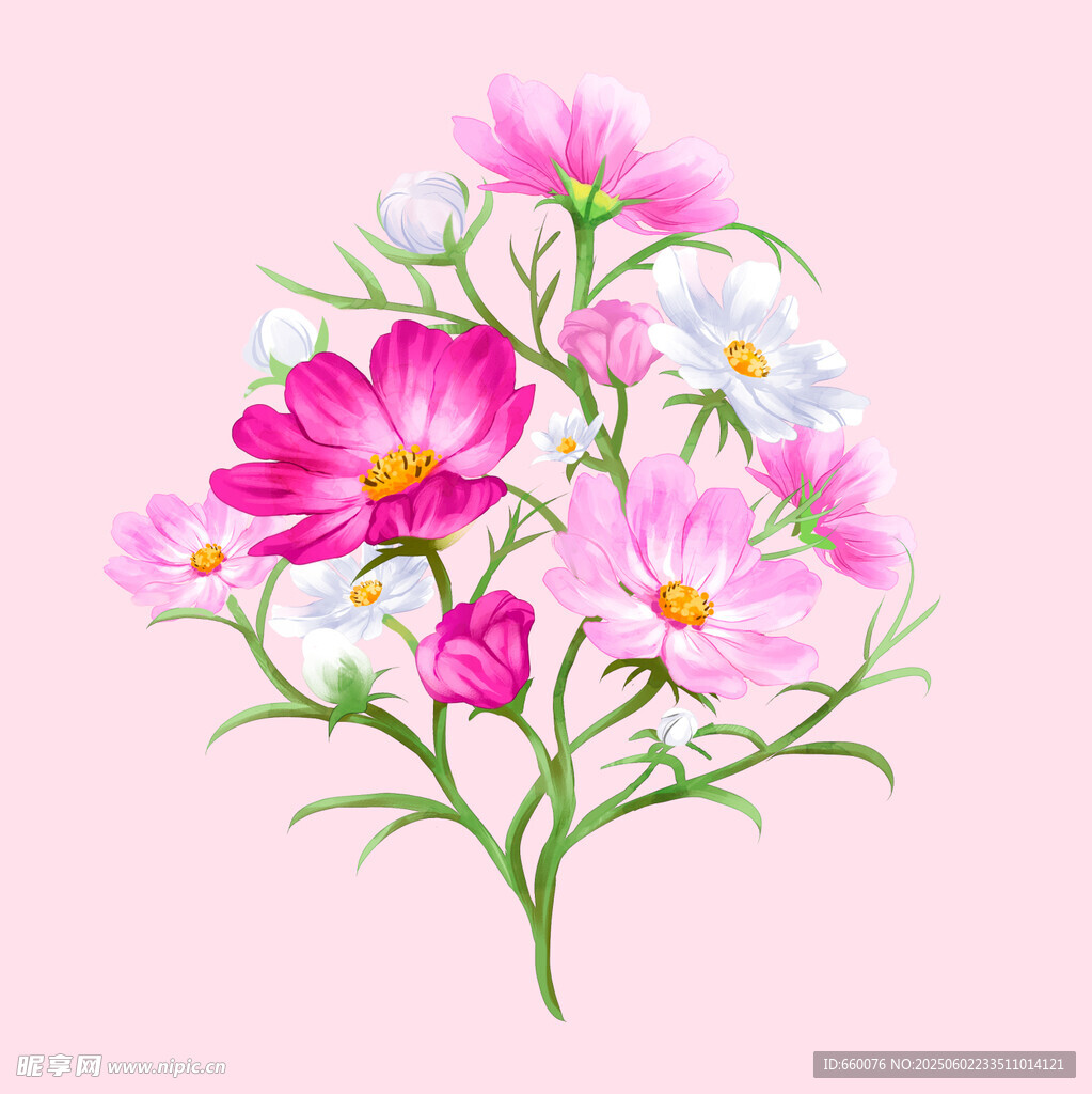 粉色花卉插画