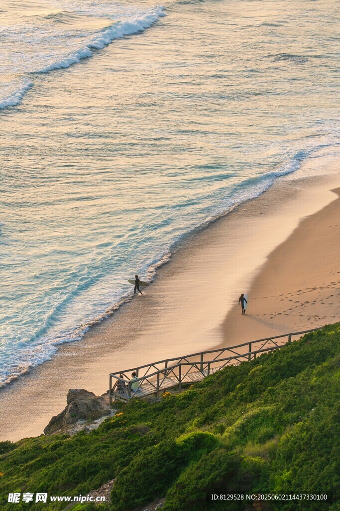 海边美景 沙滩海浪与绿植