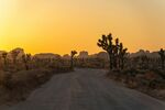夕阳下的沙漠公路景观
