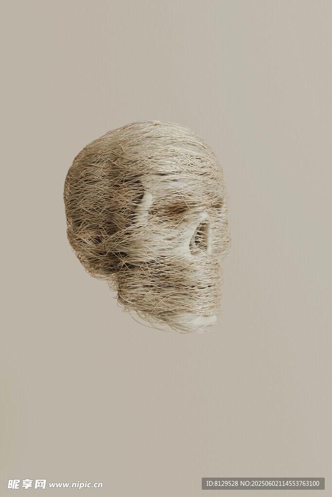素描风格的抽象人头模型