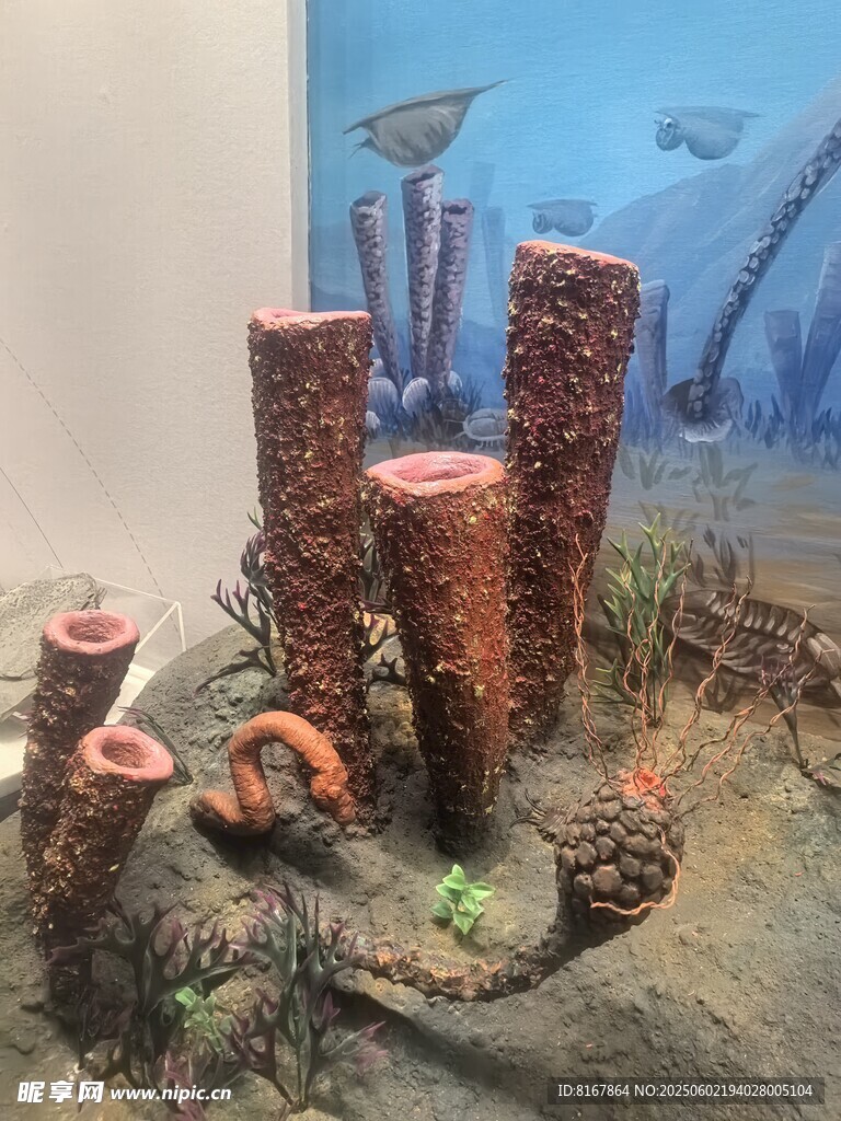 海底珊瑚礁景观模型