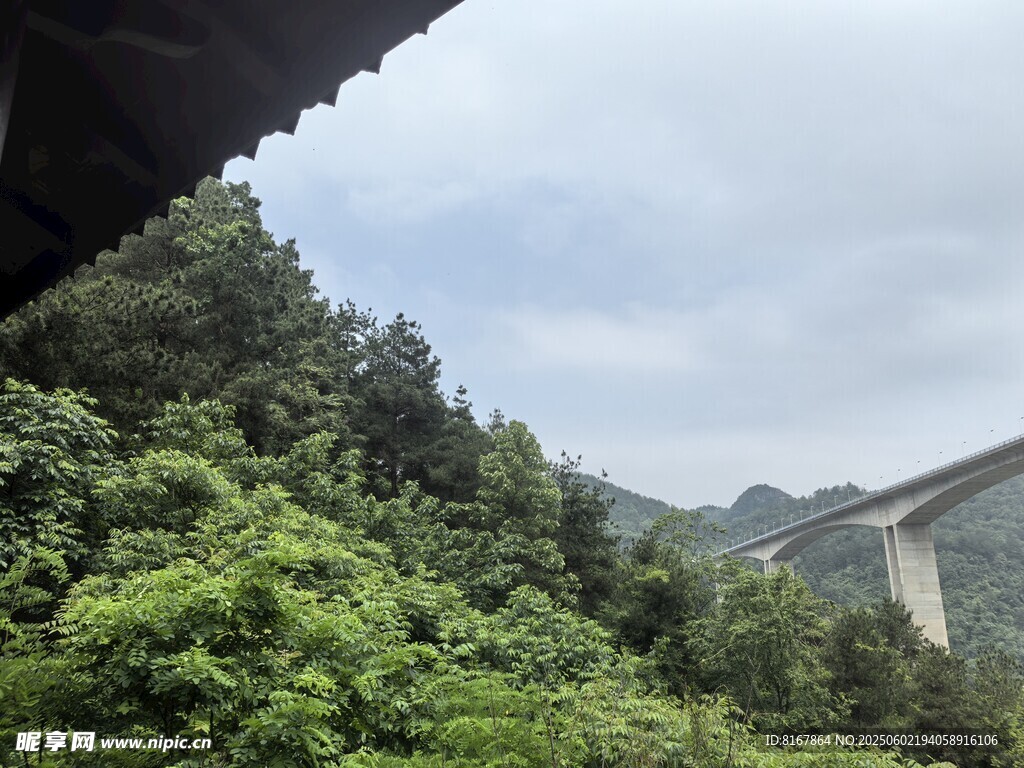 山间绿意与远处桥梁景观