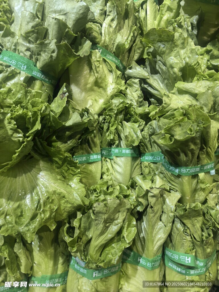 新鲜捆扎生菜