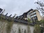 中式建筑旁的绿植景观