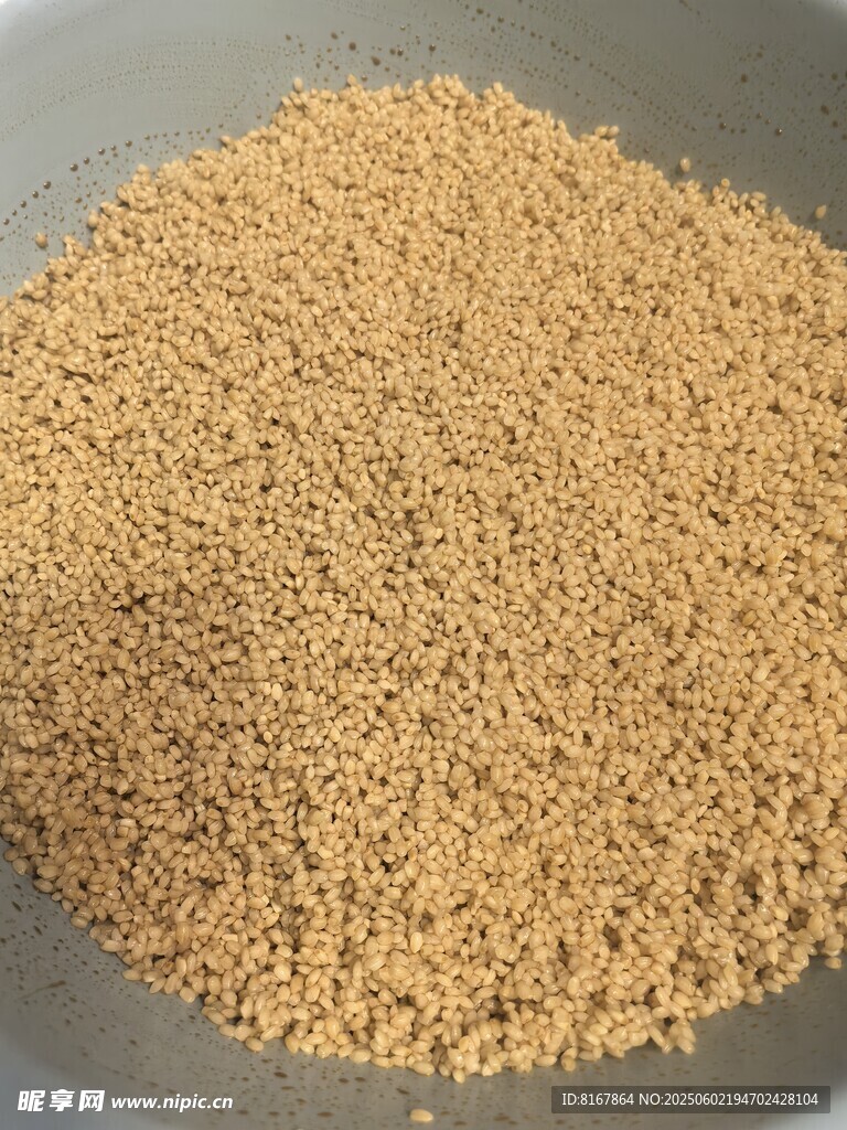 一堆饱满的谷物颗粒