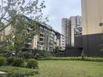 小区内的绿化景观