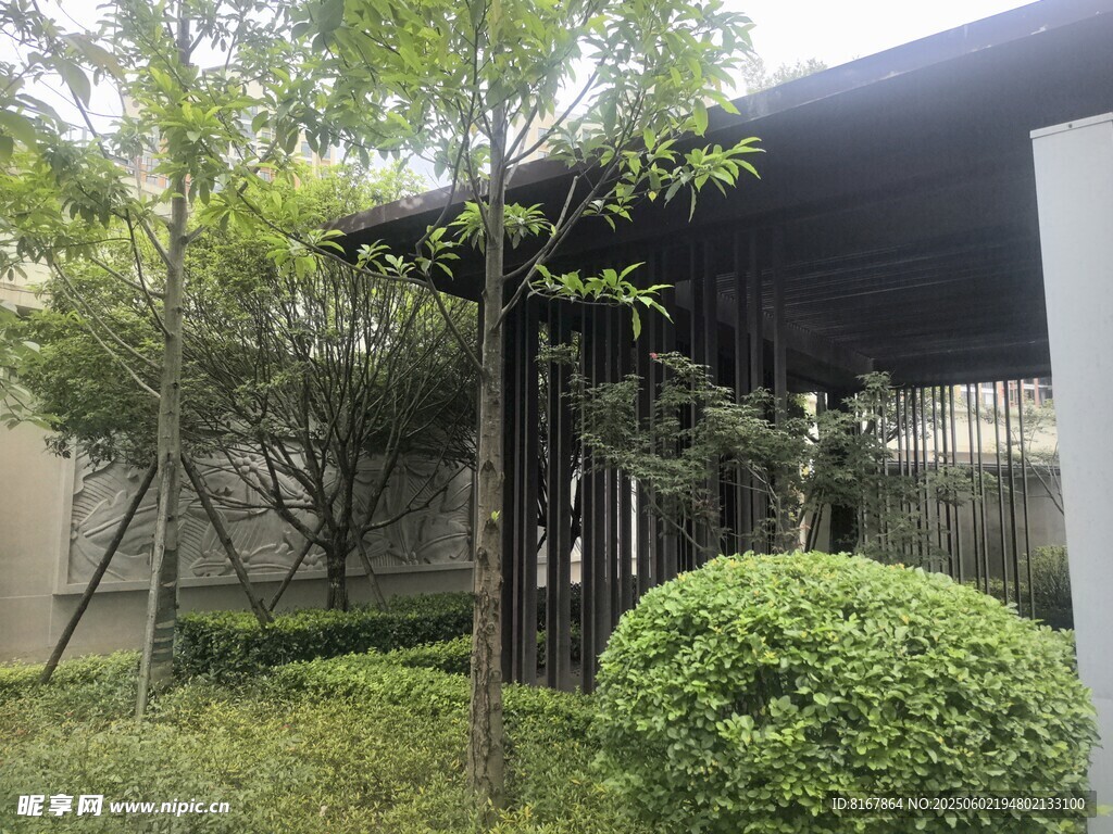 现代庭院绿植景观一角