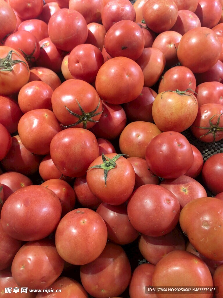 新鲜饱满的西红柿堆