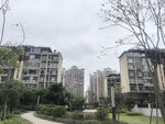 小区内的绿化与建筑景观