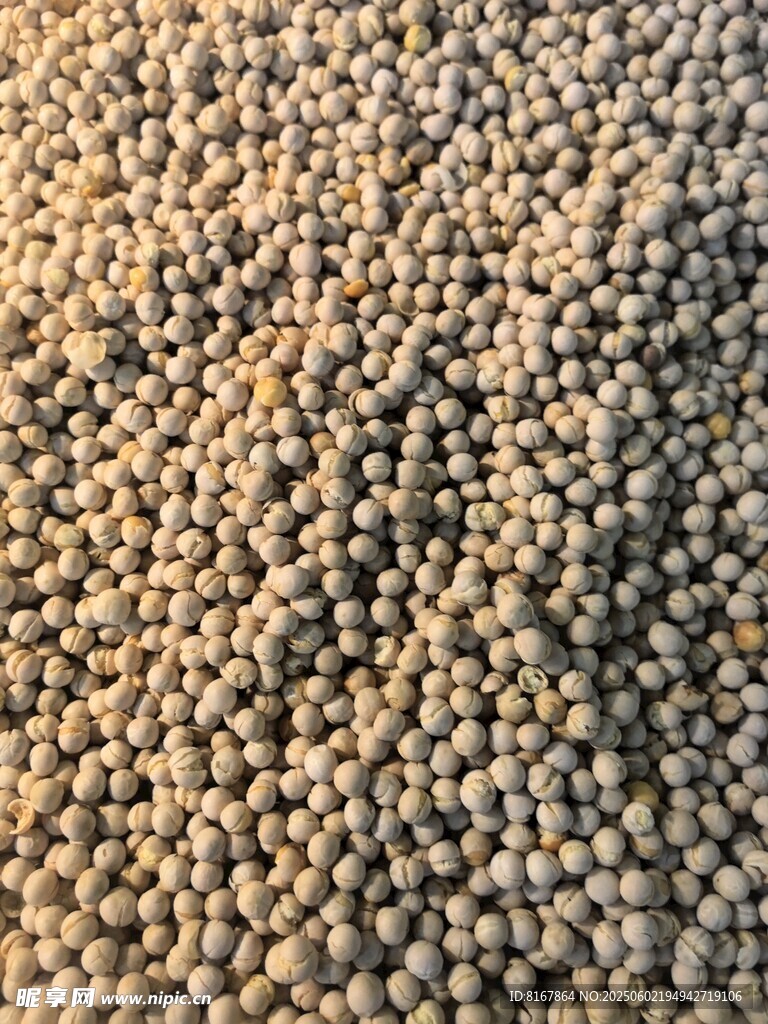 饱满谷物颗粒