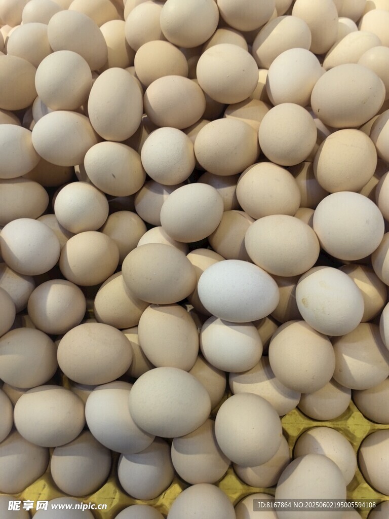 一堆新鲜鸡蛋特写