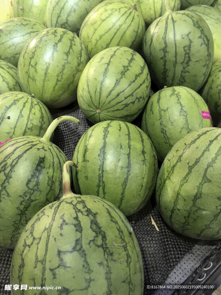 新鲜饱满的堆垛西瓜