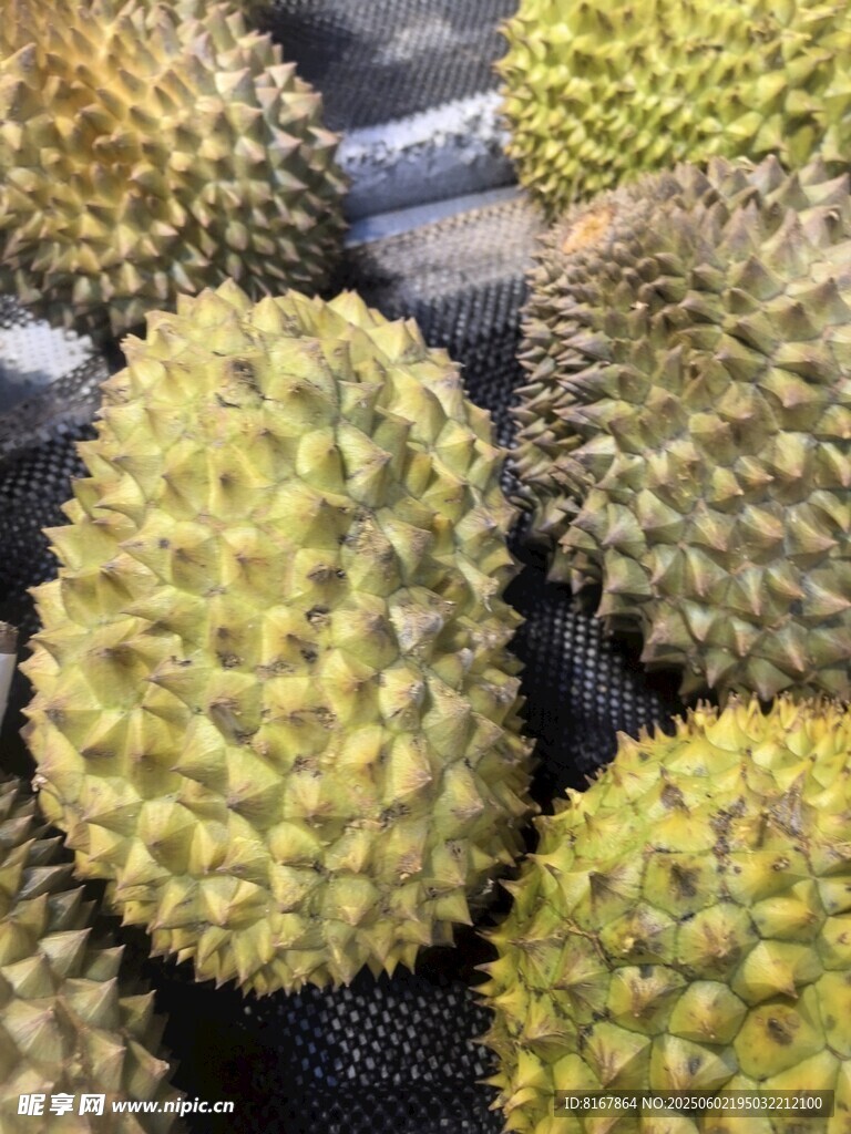 新鲜饱满的榴莲果实