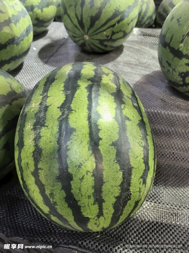 新鲜饱满的条纹西瓜
