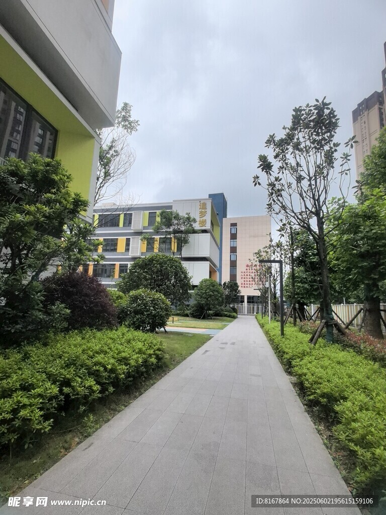 校园小径绿植环绕景致美