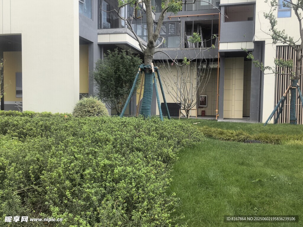 现代住宅旁的绿植景观