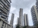 城市林立的高层住宅楼